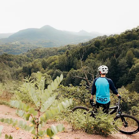 Hof Otel Leinsweiler